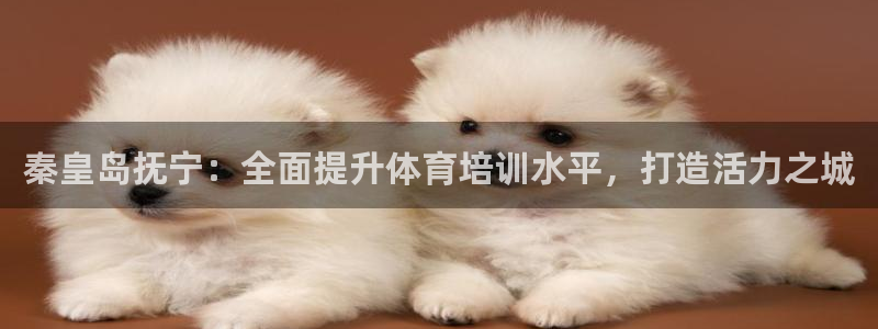 富联集团做什么的呀：秦皇岛抚宁：全面提升体育培训水平