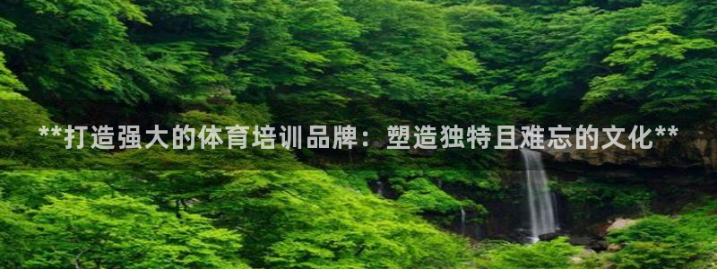 富联平台注册登录不了：**打造强大的体育培训品牌：塑