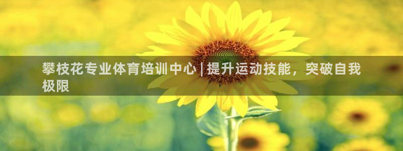 富联平台网站是什么：攀枝花专业体育培训中心 | 提升