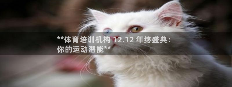 富联官网注册流程视频：**体育培训机构 12.12 