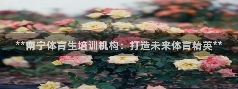 富联大厦：**南宁体育生培训机构：打造未来体育精英*