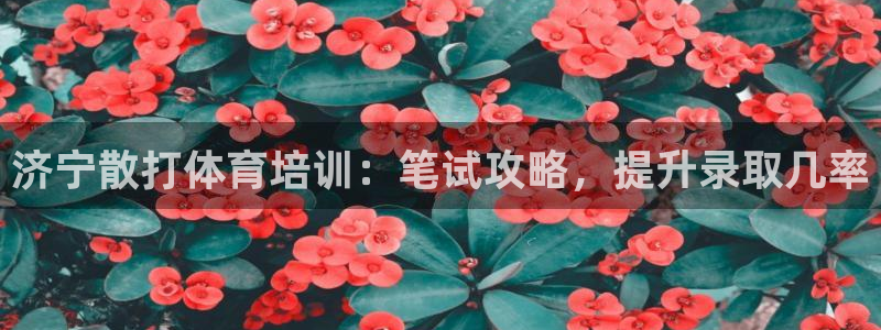 富联平台奇7O777：济宁散打体育培训：笔试攻略，提
