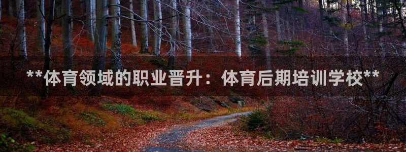 富联娱乐老板是哪里人：**体育领域的职业晋升：体育后