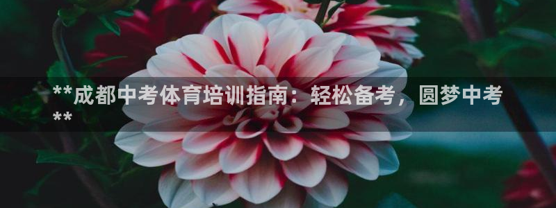 富联股份股票怎么样：**成都中考体育培训指南：轻松备