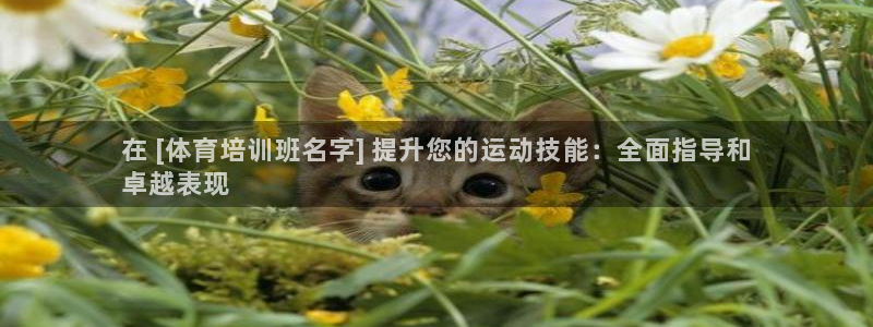 富联官方网站入口网址是什么：在 [体育培训班名字] 