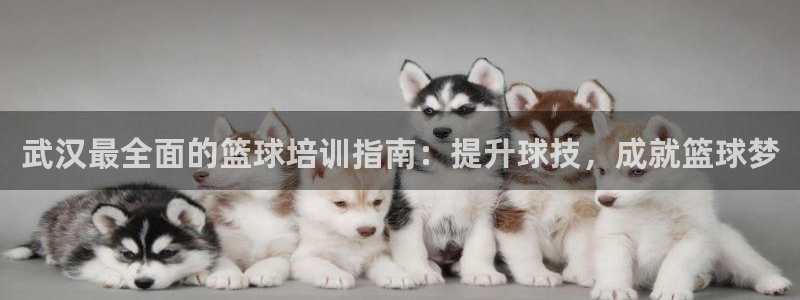 富联娱乐律7O777：武汉最全面的篮球培训指南：提升