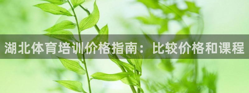 富联娱乐下载app：湖北体育培训价格指南：比较价格和课程