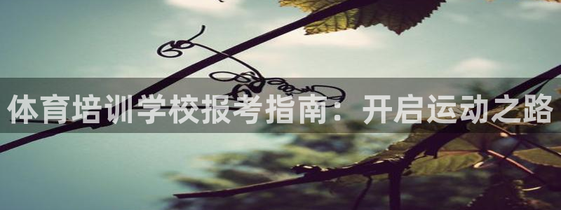 富联平台选 58534I 富联：体育培训学校报考指南