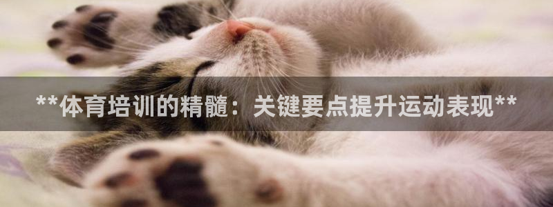 富联集团最新消息今天