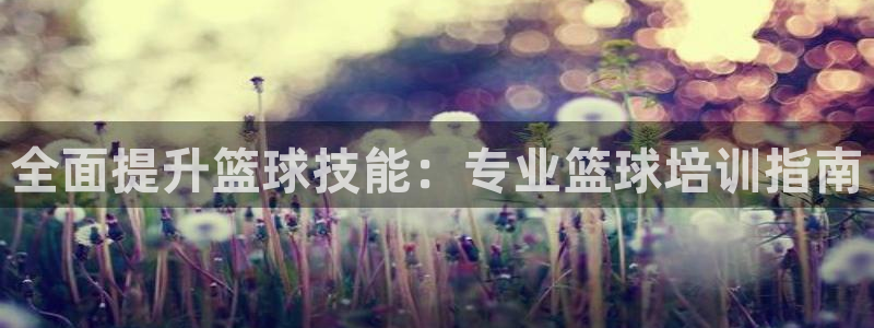 杭州富联科技：全面提升篮球技能：专业篮球培训指南