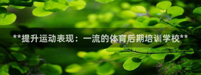 富联娱乐李 411O31 娱乐：**提升运动表现：一