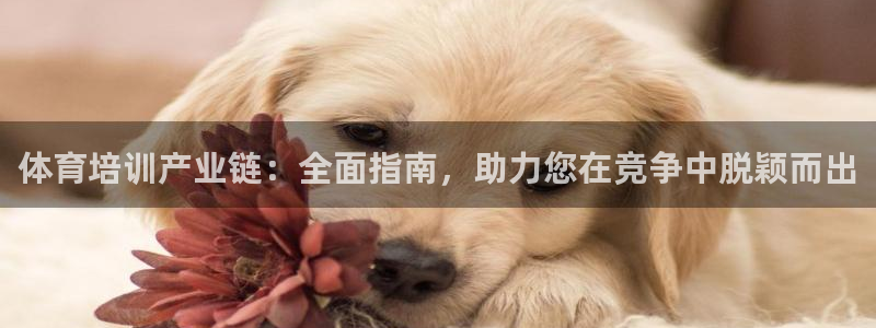 富联平台赢钱不给退怎么办呢：体育培训产业链：全面指南