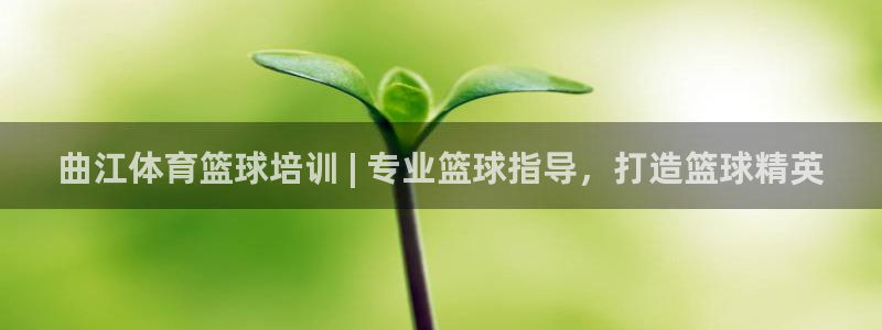 富联申购中签号：曲江体育篮球培训 | 专业篮球指导，