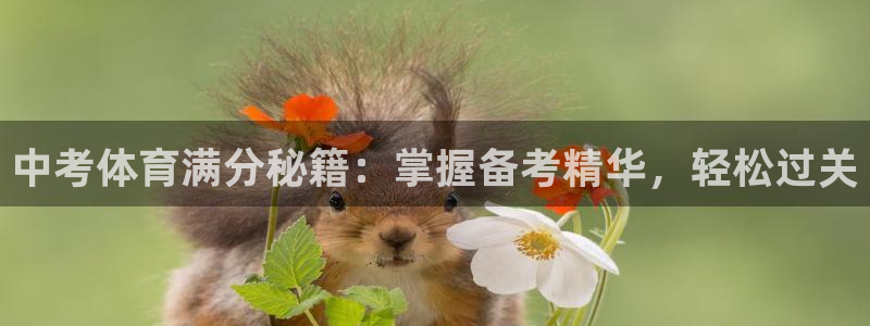 富联芯科技：中考体育满分秘籍：掌握备考精华，轻松过关