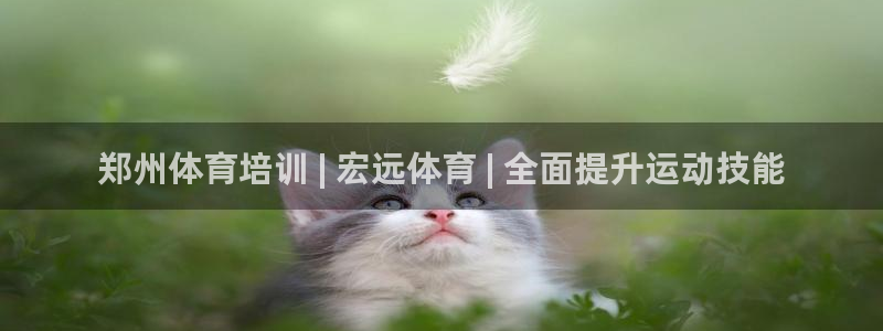 富联娱乐在线注册链接是什么软件：郑州体育培训 | 宏远体育 