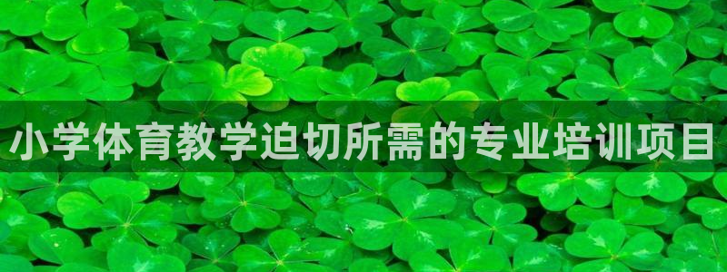 富联公寓：小学体育教学迫切所需的专业培训项目