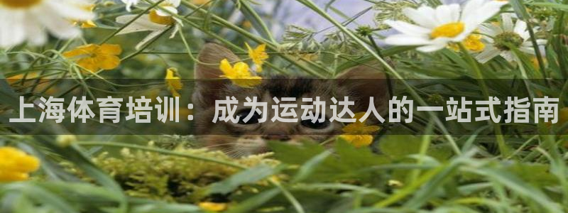 富联娱乐玩法机制：上海体育培训：成为运动达人的一站式