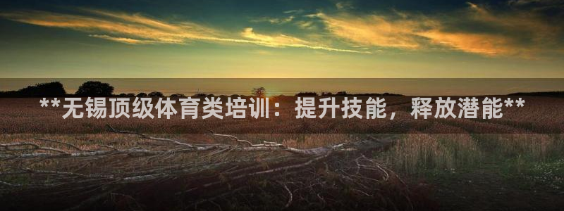 富联丰地产交易平台：**无锡顶级体育类培训：提升技能