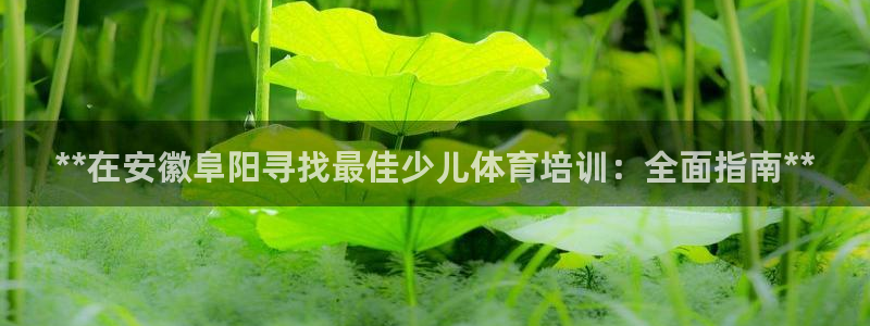 中国富联股票行情：**在安徽阜阳寻找最佳少儿体育培训：全面指