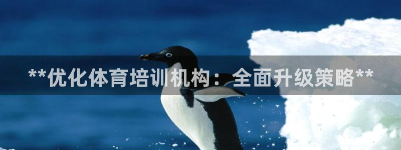 富联官网登录网址：**优化体育培训机构：全面升级策略