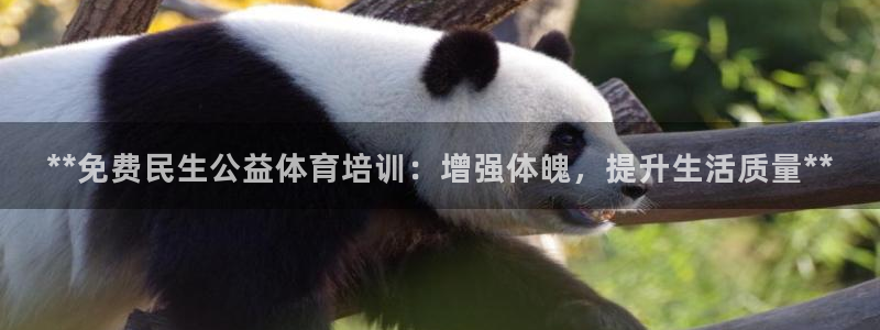 富联娱乐官方网站入口：**免费民生公益体育培训：增强