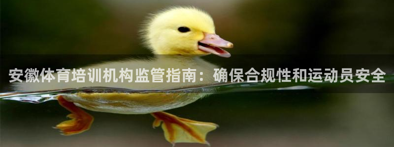 富联平台官网下载：安徽体育培训机构监管指南：确保合规性和运动