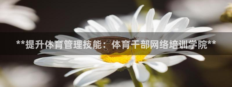 富联娱乐真的吗：**提升体育管理技能：体育干部网络培