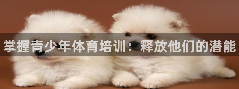 富联平台主管：掌握青少年体育培训：释放他们的潜能