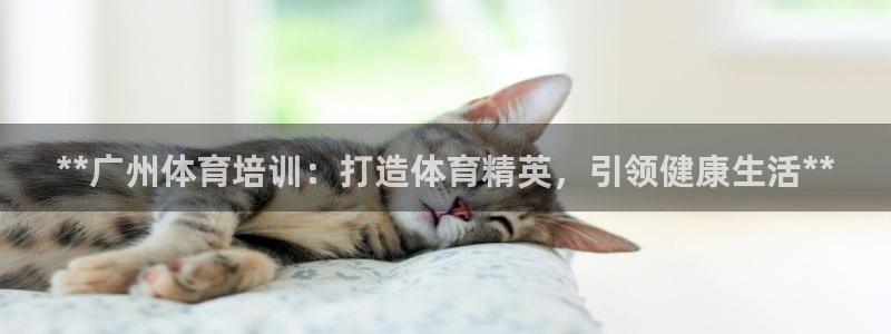 富联平台上级下级是什么意思：**广州体育培训：打造体