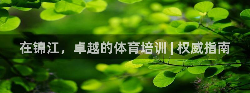 富联娱乐会员：在锦江，卓越的体育培训 | 权威指南