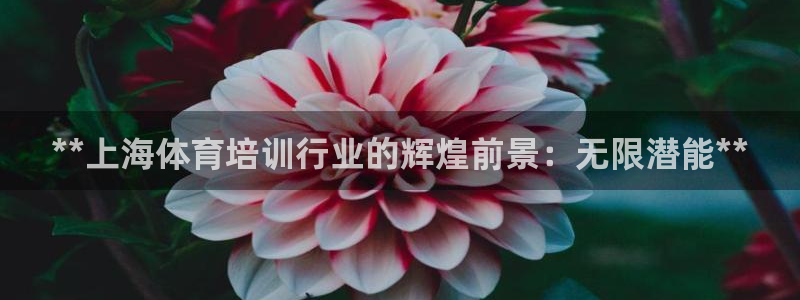 富联娱乐华 5O6917 娱乐：**上海体育培训行业
