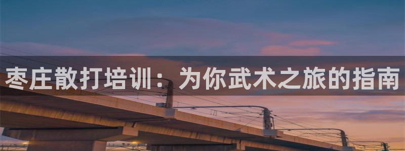 富联平台注册登录入口：枣庄散打培训：为你武术之旅的指