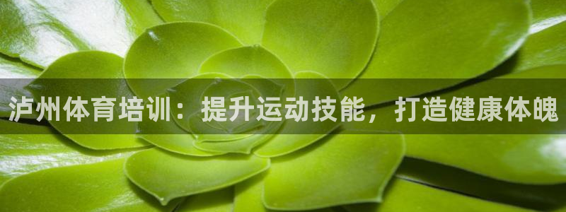 富联娱乐服务站地址：泸州体育培训：提升运动技能，打造