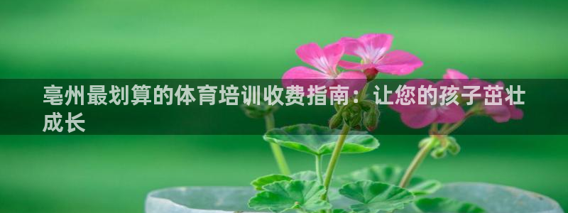 富联智能科技学院：亳州最划算的体育培训收费指南：让您