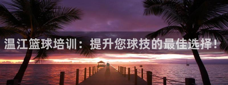 富联官方网站入口查询电话：温江篮球培训：提升您球技的