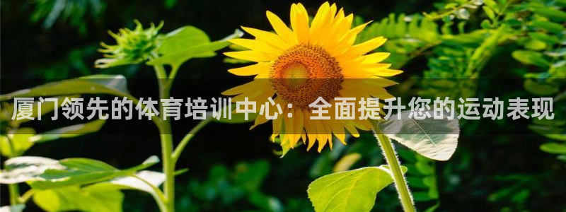 富联娱乐平台开户条件有哪些：厦门领先的体育培训中心：