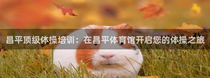 富联公寓租房怎么样：昌平顶级体操培训：在昌平体育馆开
