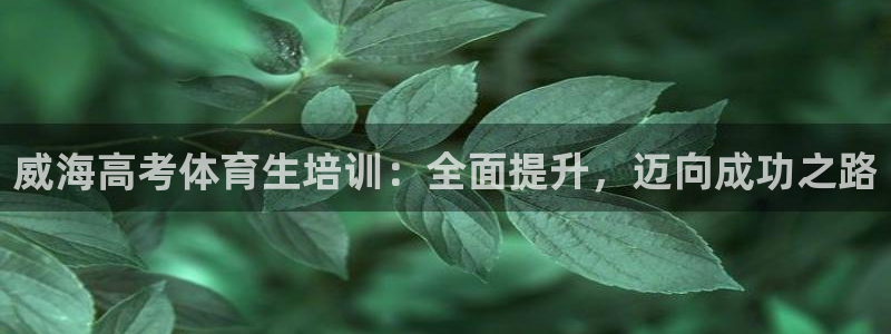 富联科技上市了吗今天：威海高考体育生培训：全面提升，
