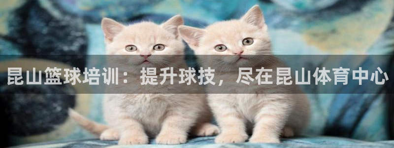 富联娱乐代理怎么做的：昆山篮球培训：提升球技，尽在昆