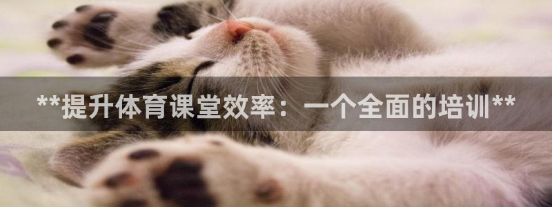 富联平台保7O777：**提升体育课堂效率：一个全面的培训*