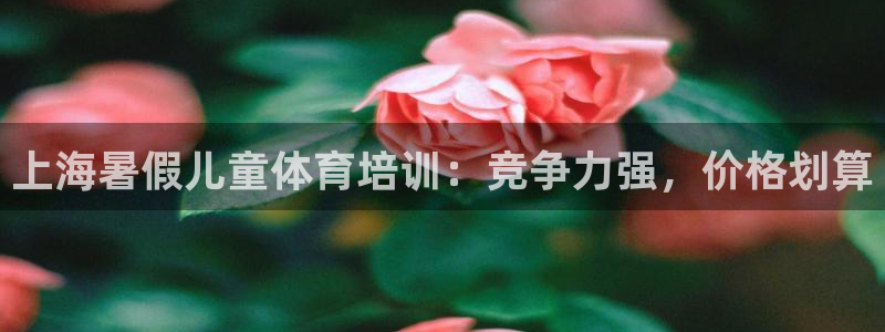 富联娱乐玩法机制：上海暑假儿童体育培训：竞争力强，价