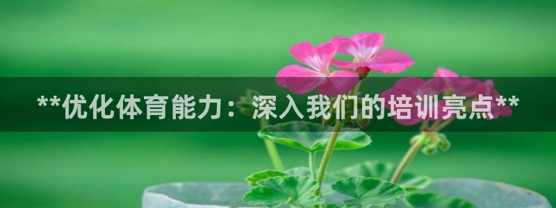 富联集团做什么的啊：**优化体育能力：深入我们的培训亮点**