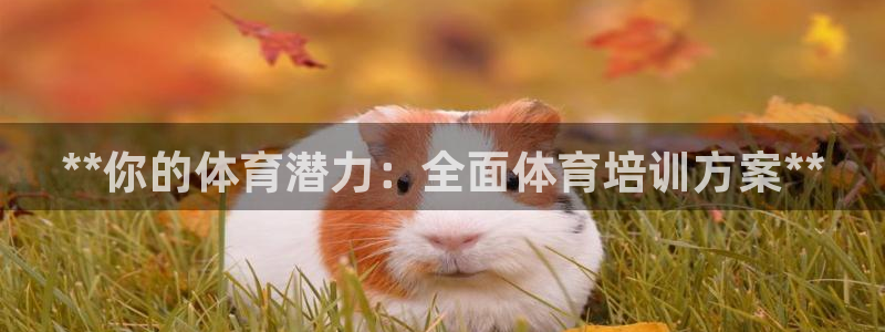富联平台安装app：**你的体育潜力：全面体育培训方