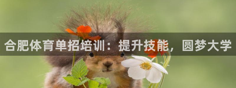 富联官网登录：合肥体育单招培训：提升技能，圆梦大学