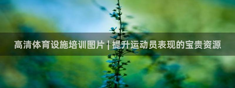 富联平台总代理电话：高清体育设施培训图片 | 提升运