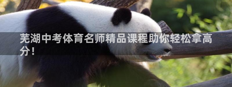 富联娱乐下载官网：芜湖中考体育名师精品课程助你轻松拿