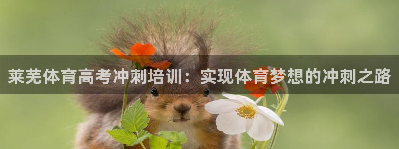 富联申购是什么股票啊：莱芜体育高考冲刺培训：实现体育