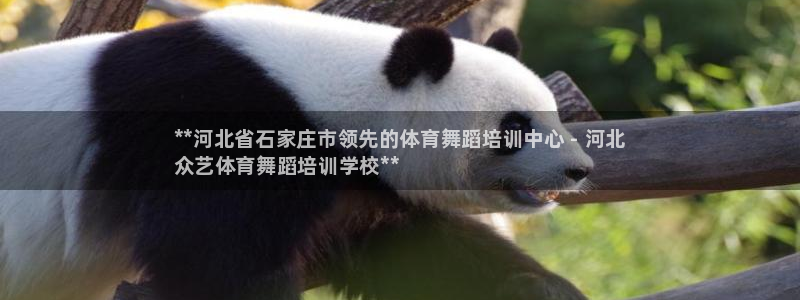富联娱乐测速怎么样：**河北省石家庄市领先的体育舞蹈培训中心