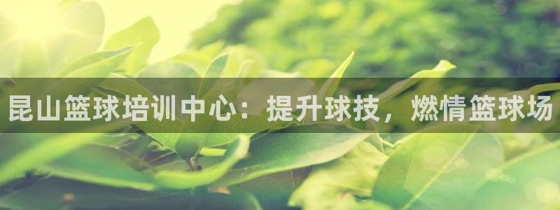 深圳富联智能制造产业创新中心：昆山篮球培训中心：提升球技，燃