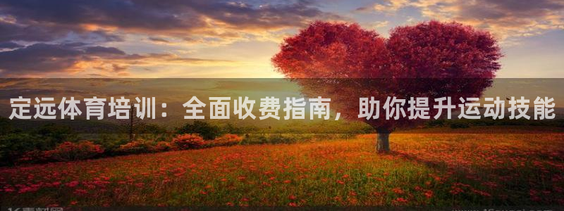 富联平台微信怎么提现：定远体育培训：全面收费指南，助你提升运